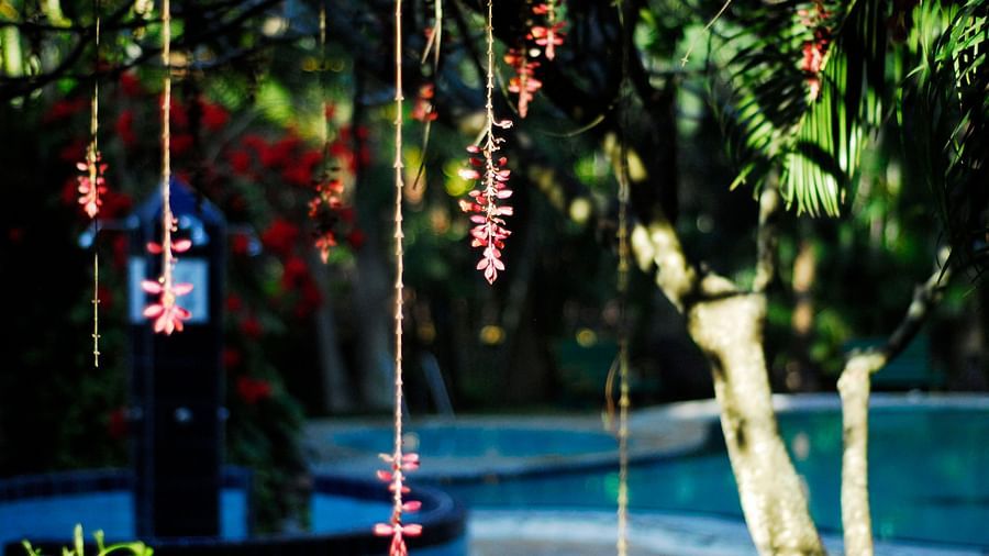 An image of a lot of hanging decorations with the swimming pool in the background at Hoysala Village Resort, Hassan