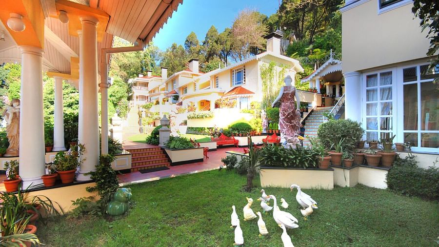 the lawn area with ducks roaming around - Mayfair Hill Resort, Darjeeling