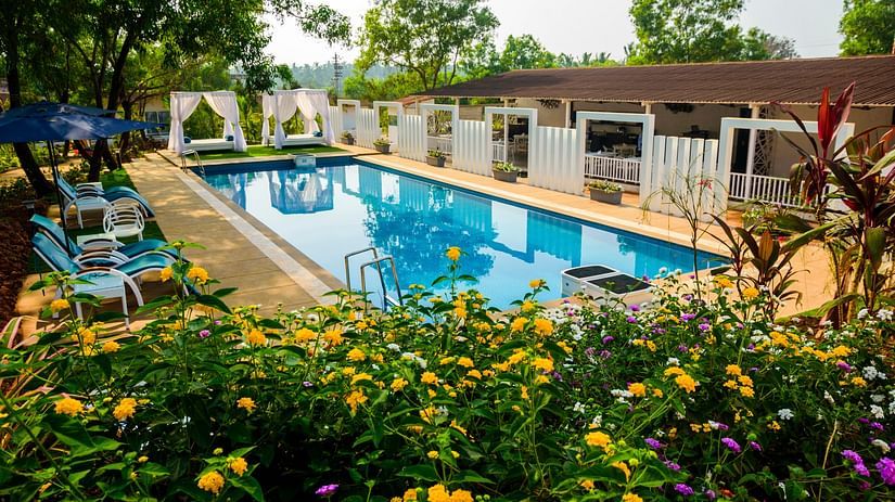 White Wood Resort