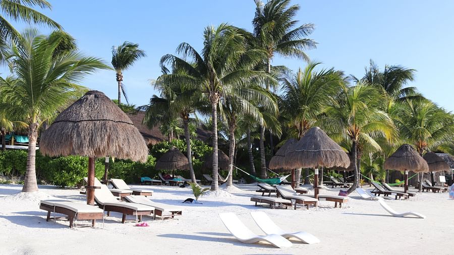 Lounging chairs on a beach