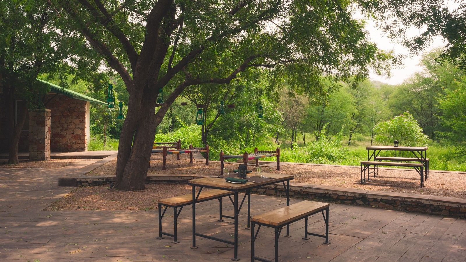 The outdoor dining area at our lodge in Sariska - Trees N Tigers, Sariska