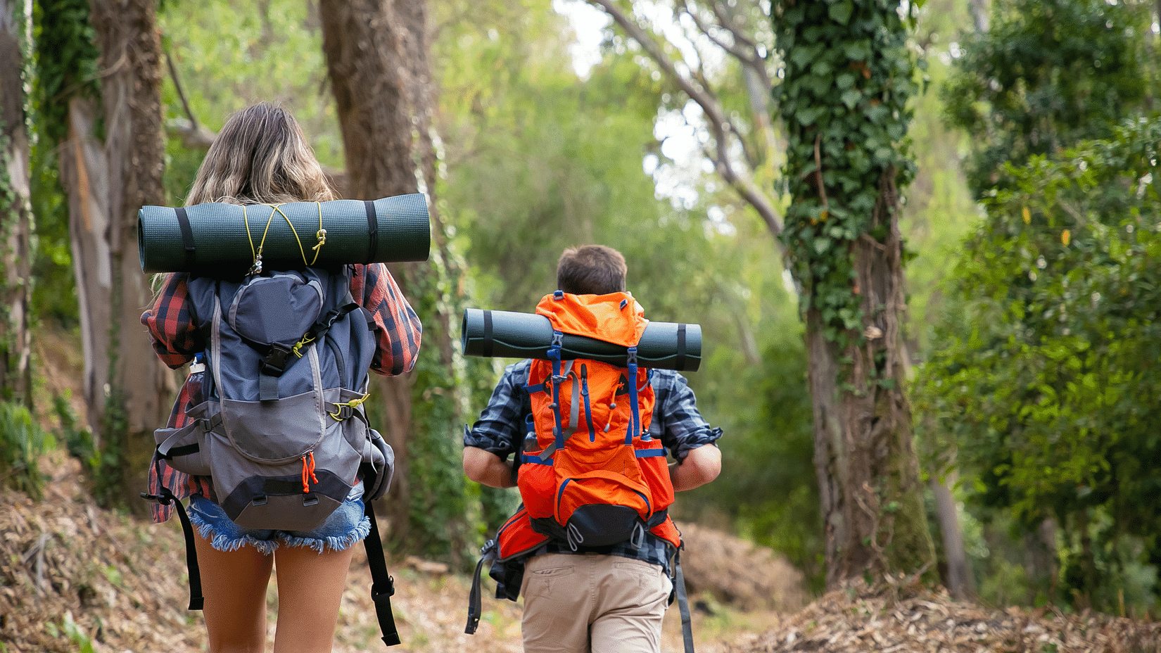 Two hikers with backpacks and rolled mats walk through a lush forest trail, surrounded by greenery.