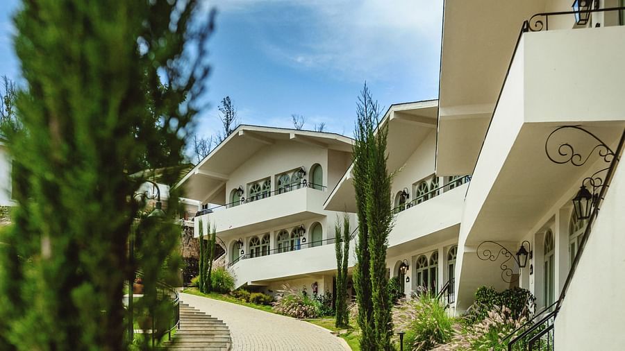 Resort layout at Mango Hill Shola, Ooty, with a paved pathway running between buildings and dense tree cover.
