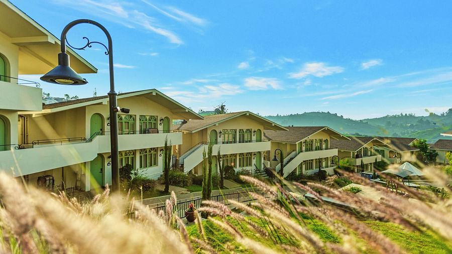 High-angle view of Mango Hill Shola, Ooty, showcasing its location amidst rolling hills and tea plantations.