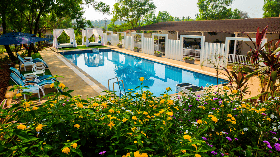 swimming pool at day - White Wood Resort, Morjim