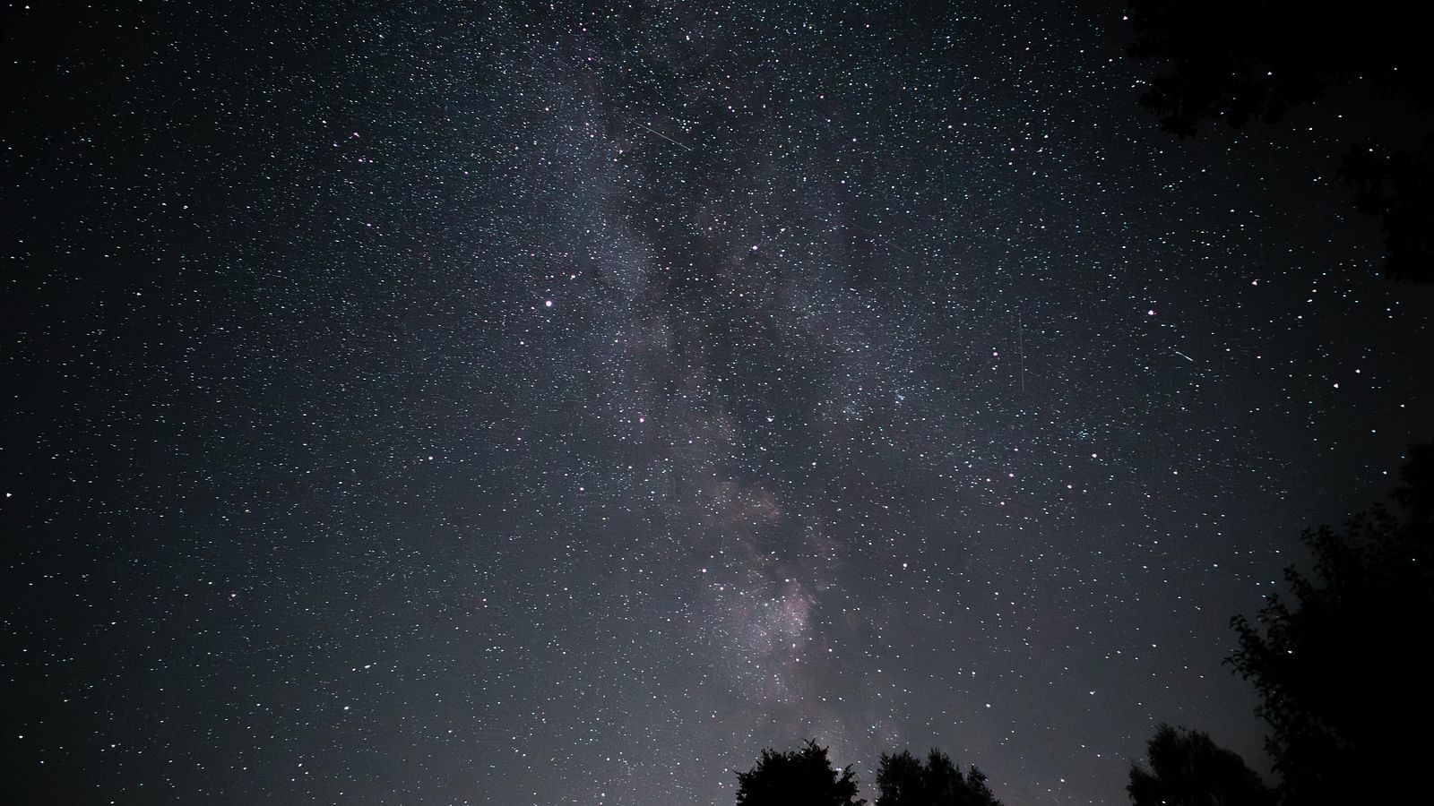 Starry night sky with a tree silhouette framing the view.
