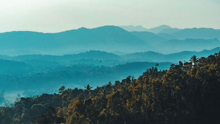 Panoramic view of Coorg's forest-covered hills and layered Western Ghats under soft morning light, observed from Rajas Seat.