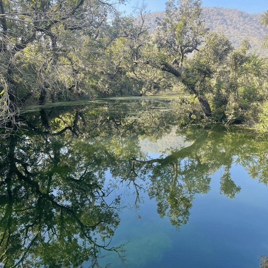 River - Surya Bagh Ajabgarh