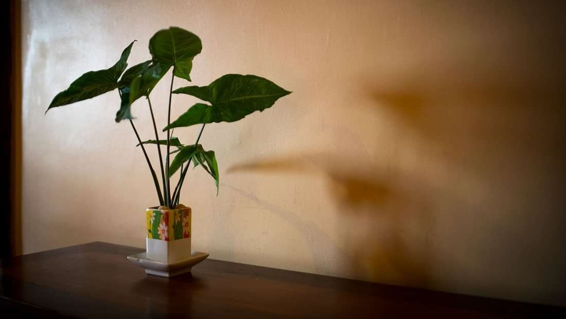 Pakse Hotel & Restaurant, Champasak Pakse Interiors Pakse Hotel Restaurant Champasak Laos 7