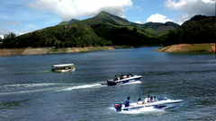 Two speedboats and a normal boat travelling in a waterbody with a hill in the background in Thekkady.
