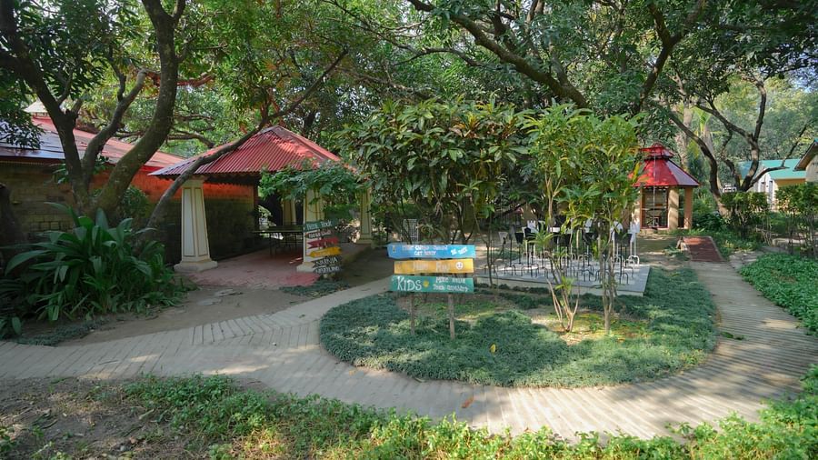 A garden with a path, gazebo, and various plants, daytime setting.
