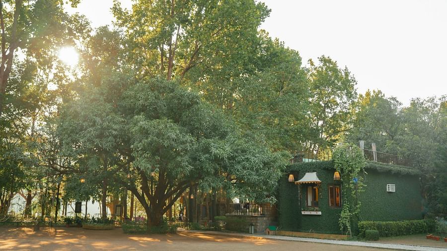 A paved road leading to a building surrounded by trees, outdoor setting- The Den Corbett Resort & Spa, Kumeria.
