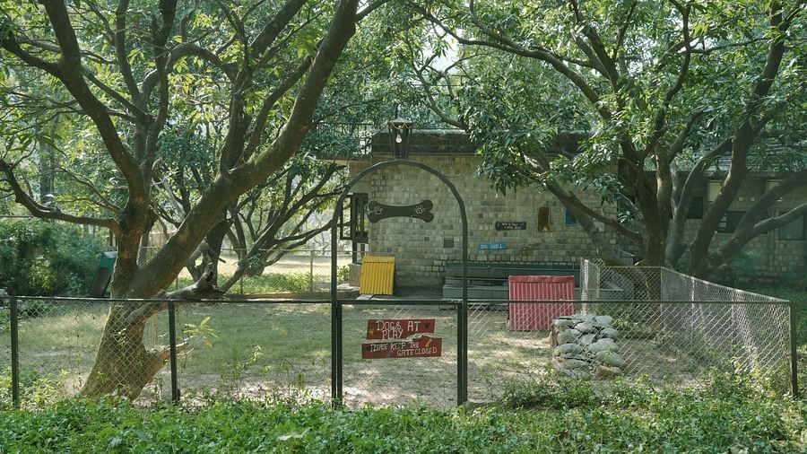A building partially obscured by trees and a wire fence, daytime setting.