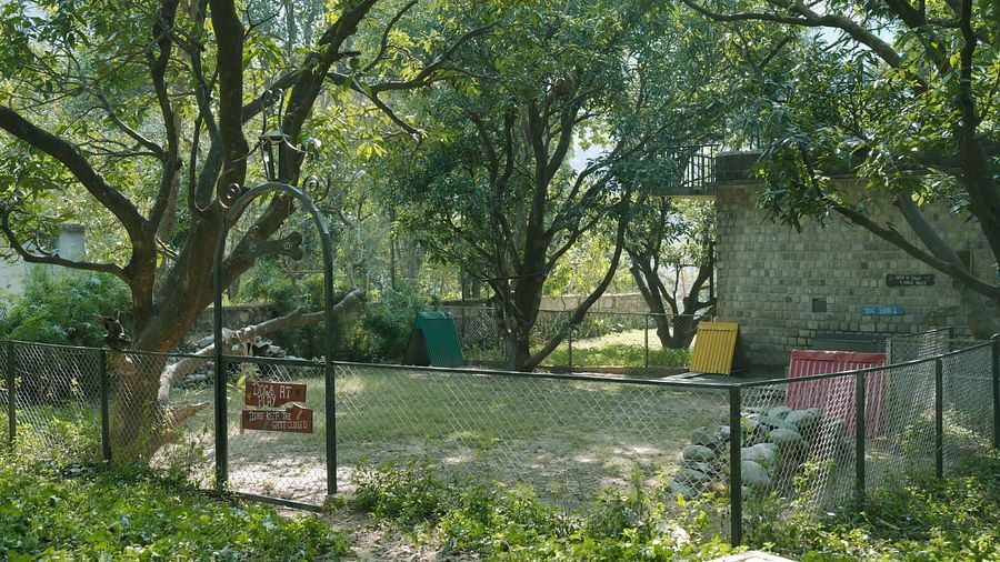 A clearing in a forest with a fence, natural light.