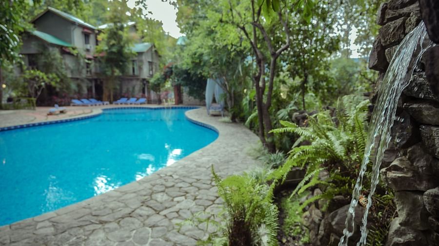 A swimming pool surrounded by trees and foliage, daytime setting.