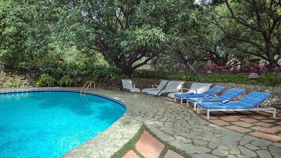 A swimming pool with lounge chairs, surrounded by trees.
