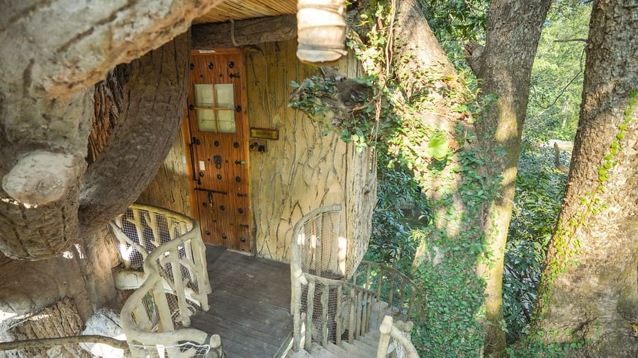 A room built into a tree, with a bed visible through a window, natural lighting - The Den Corbett Resort & Spa, Kumeria.