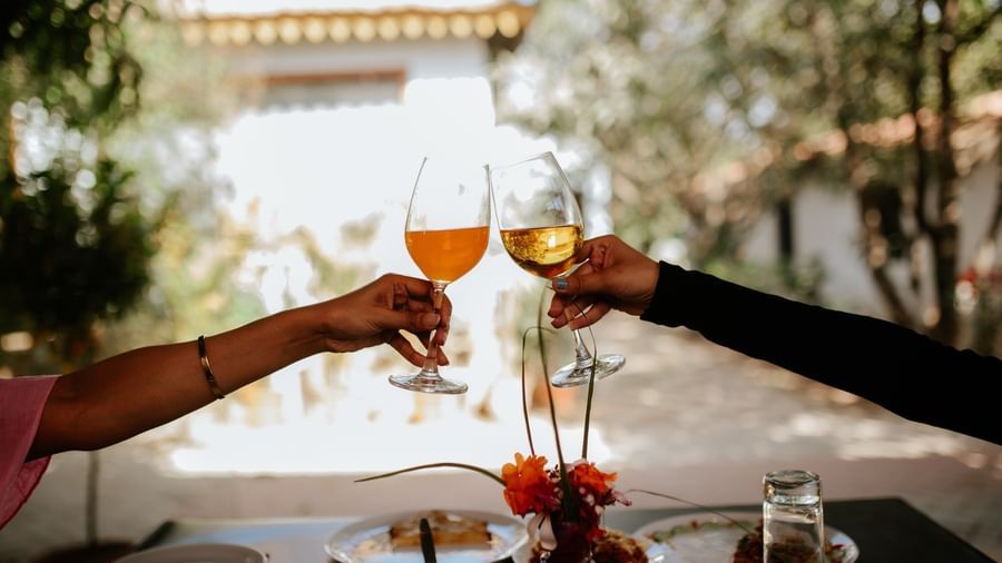 2 hands clink glasses filled with an orange drink for a toast at an outdoor table, at Daksh Resort & Amusement Park, Sasan Gir.