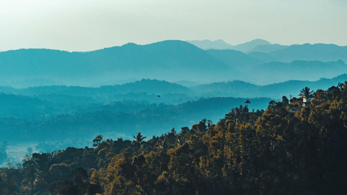 lush green mountains and hills in coorg