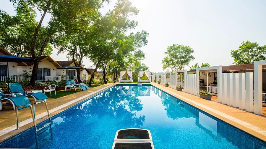swimming pool at white wood resort and spa