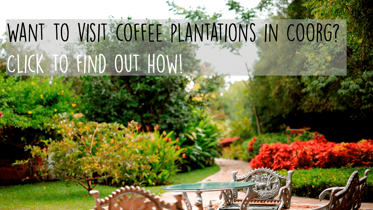 Inviting garden setting with a message about visiting coffee plantations in Coorg.
