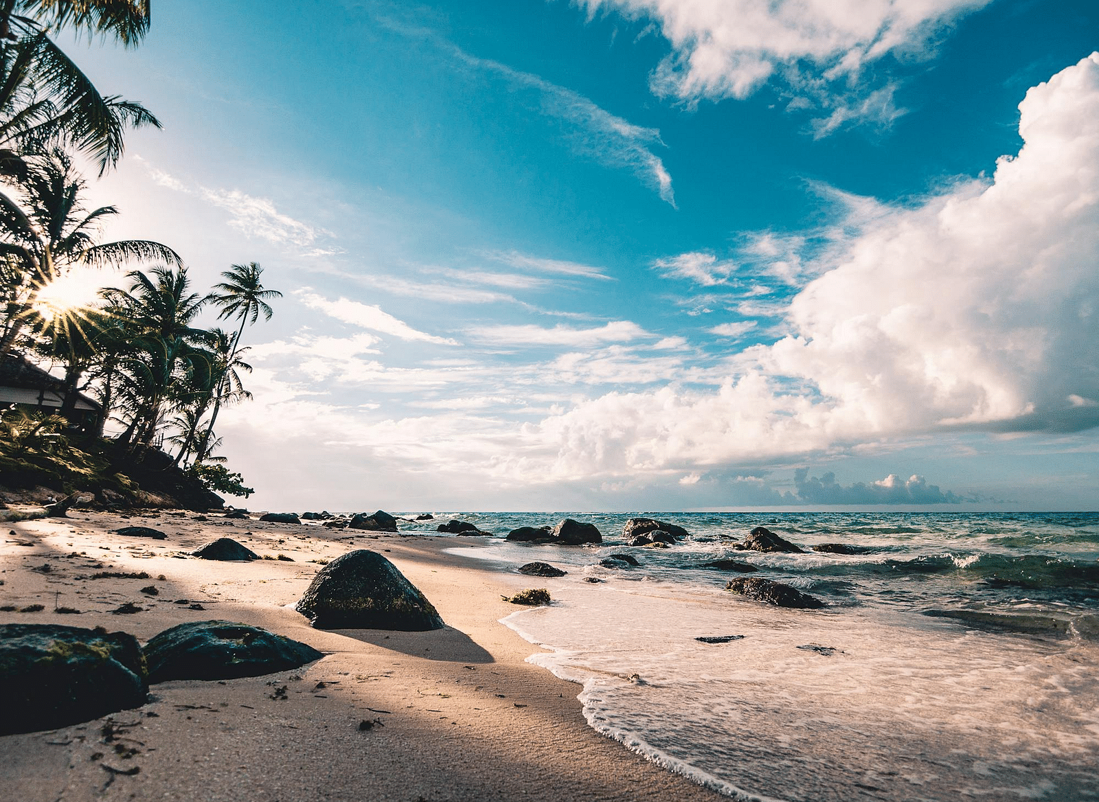 A serene beach with golden sand, scattered rocks, lush palm trees, and gentle waves under a bright blue sky with white clouds.