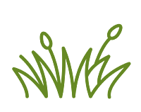 Open Lawns