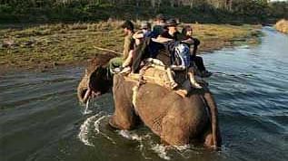 Tiger Camp Resort, Corbett Uttarakhand Elephant Safari Corbett
