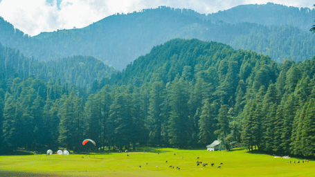 A wide grassy meadow surrounded by dense pine forests and distant hills, featuring people enjoying paragliding.