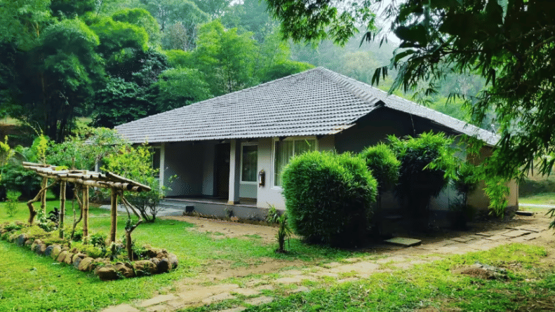 A bungalow covered by dense forest with small shrubs in front of it at Abad Brookside Lakkidi - A Resort near Nagarhole National Park.