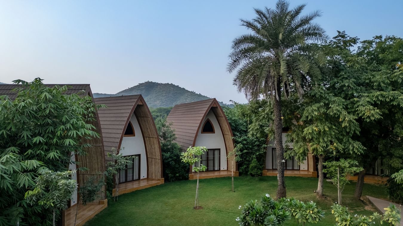 An image of a hut style villas amidst the palm trees in a resort - Ananta Spa and Resort, Ajabgarh
