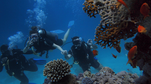 three divers posing for a picture near a coral reef with bubbles flowing up