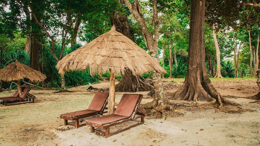 Beach Chair