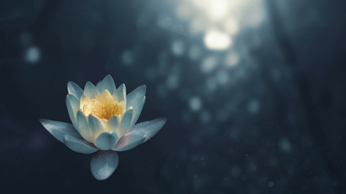 a close up shot of a lotus flower with the background blurred.