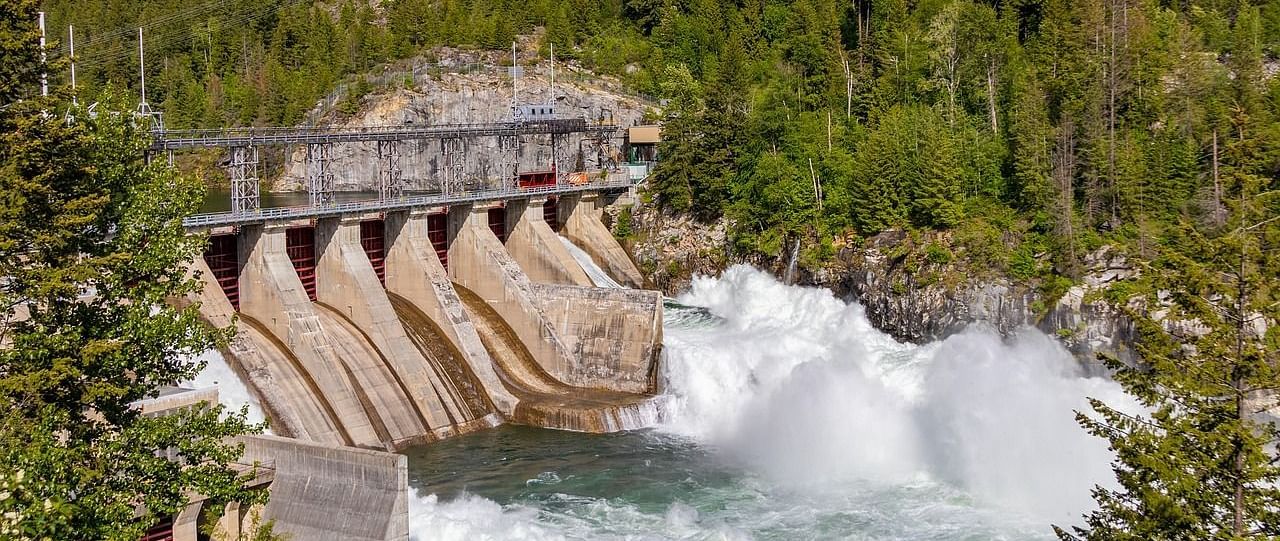 a small dam with water gushing through its gates surrounded by lush greenery