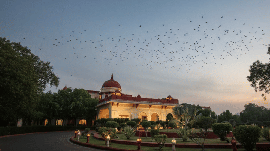 Illuminated facade with birds flying in the sky.