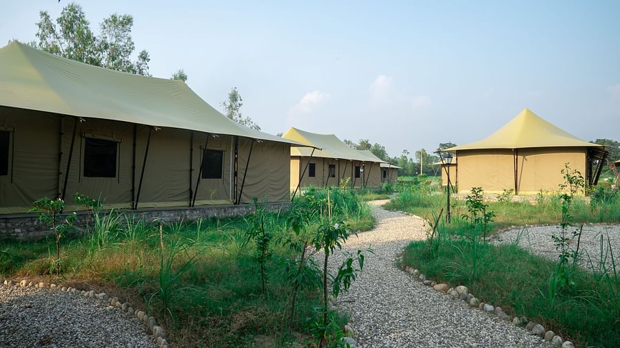 An image of a path leading to the tents at our resort near haridwar - Aalia Jungle Resort & Spa