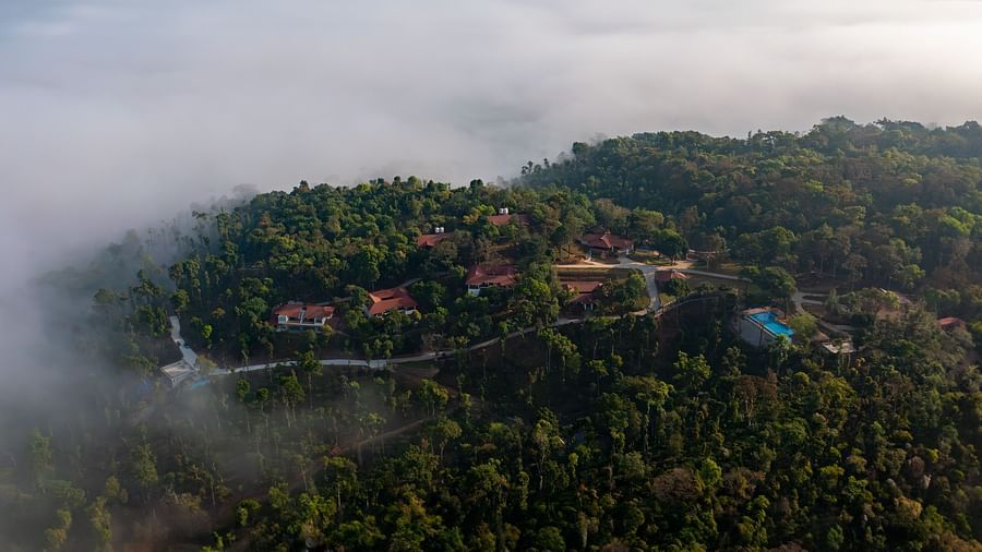 DJI 0481-Enhanced-NR