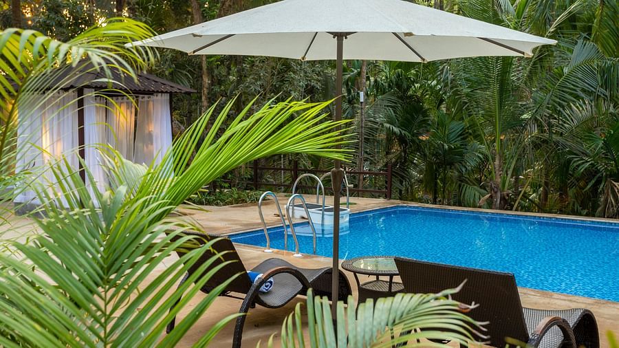 A swimming pool with beach loungers and a parasol on the side - Stone Wood Nature Resort, Gokarna