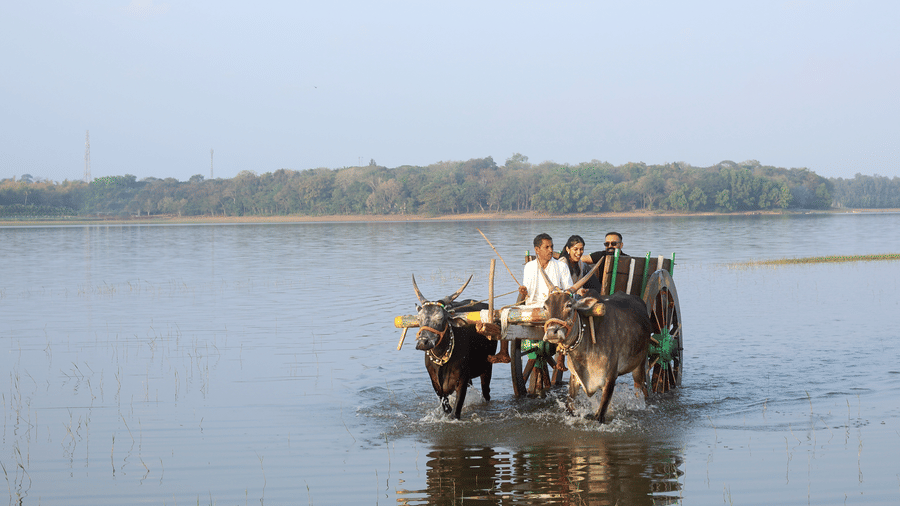 Local villagers crossing the Kabini river on a bullock cart near Evolve Back resort