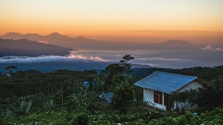 A beautiful landscape of a garden along with a small hut surrounded by beautiful orchids with a mesmerising sunset in the background.