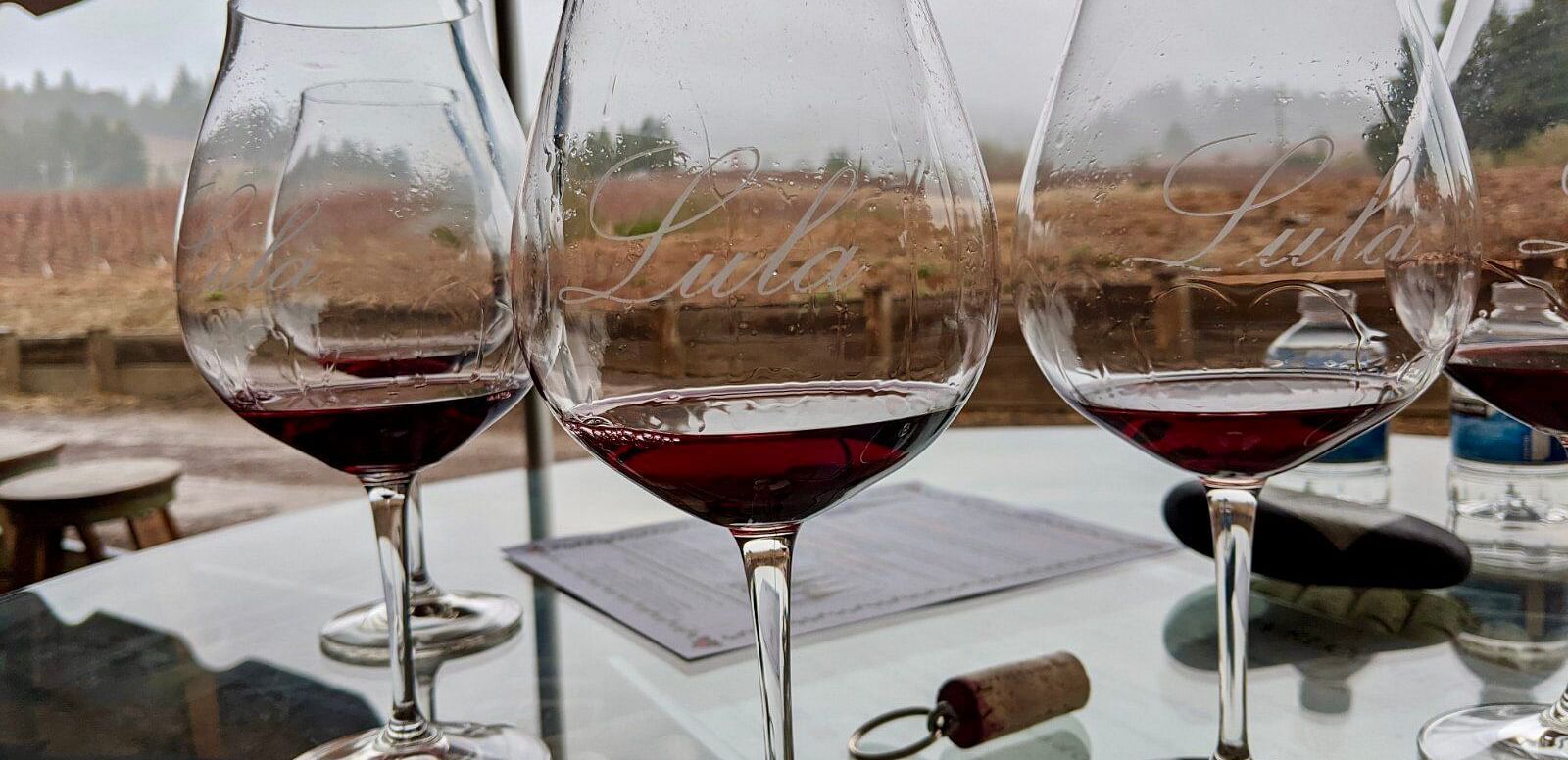 Wine glasses filled with red wine sit on a table outdoors, with a vineyard and overcast sky in the background.