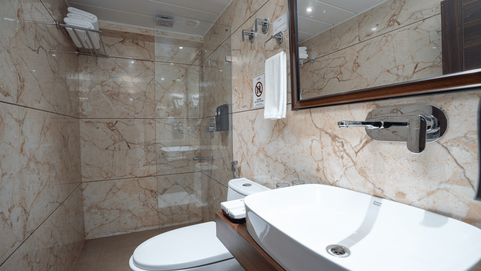 Premium View Room washroom