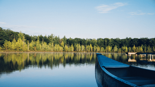 a boat standing by the river encircled by dense forest
