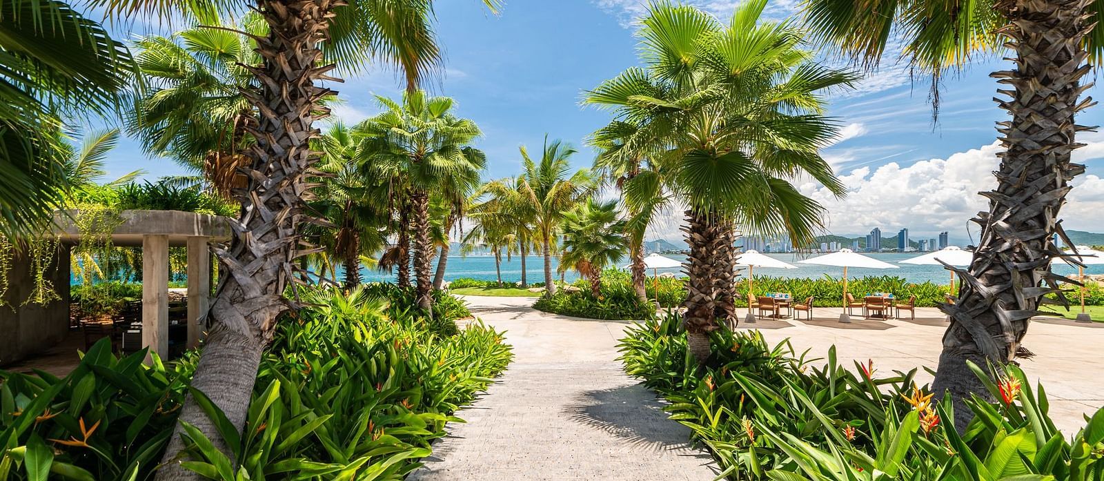 An image of a pathway with palm trees on either side An image of a huge sitting area of with several chairs and centre tables - Alibu Resort Nha Thrang