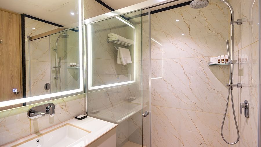 Deluxe Room Washroom