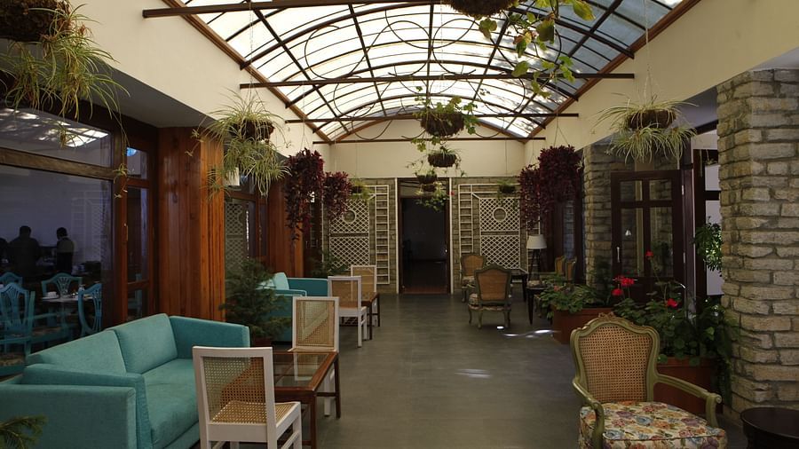 A close up shot of a lounge in Almora with a teal sofa, chairs, and a transparent ceiling from which potted plants are hung - BluSalzz Escapade - Anant Rasa Resort