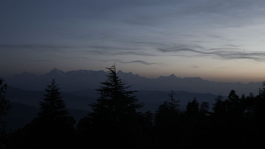 A tranquil evening view of silhouetted trees against the twilight sky - BluSalzz Escapade - Anant Rasa Resort