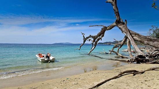 Elephant Beach shot with a boat floating in the sea