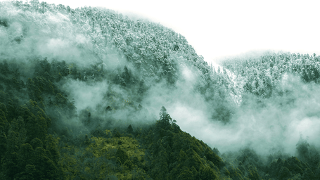 Lachung snow